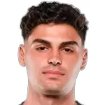 فابريتسيو سارتوري بريتو